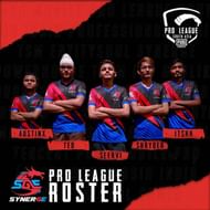 Ted and his teammates from SynerGE